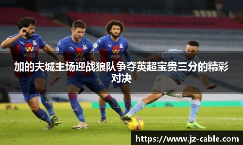 加的夫城主场迎战狼队争夺英超宝贵三分的精彩对决